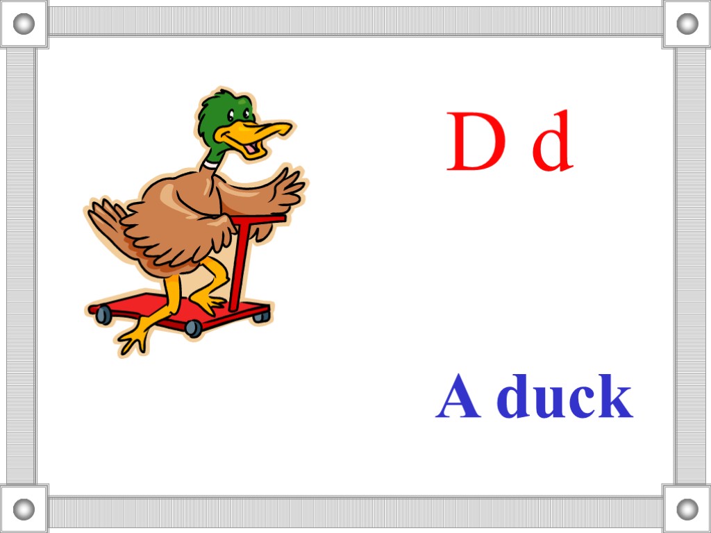 A duck D d